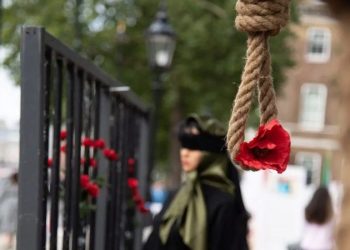 Anti-Iran regime protests grow across country as Trump admin boosts demonstrators offering support